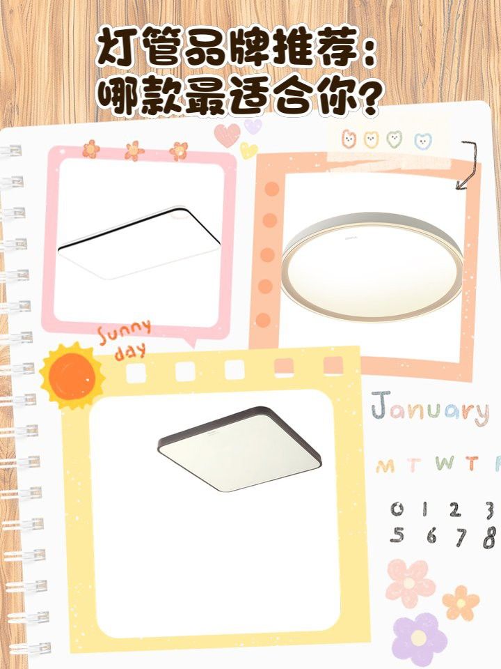 哪些品牌的過背金龍燈管比較好？