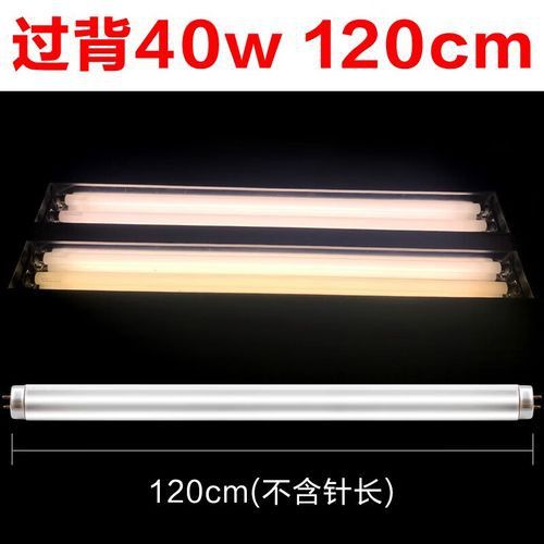 哪些品牌的過背金龍燈管比較好？