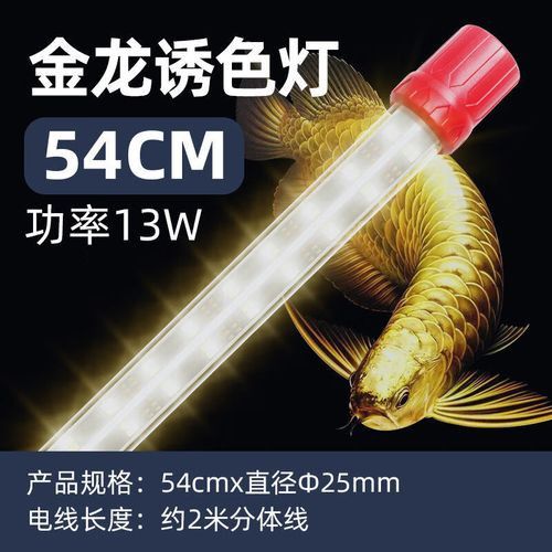 哪些品牌的過背金龍燈管比較好？