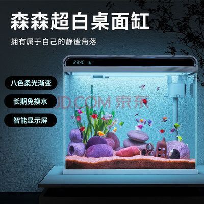 森森魚缸顯示屏維修，森森魚缸顯示屏維修費用大概多少如何判斷是否損壞 森森魚缸顯示屏維修，森森魚缸顯示屏維修費用大概多少如何判斷是否損壞 龍魚百科 第3張