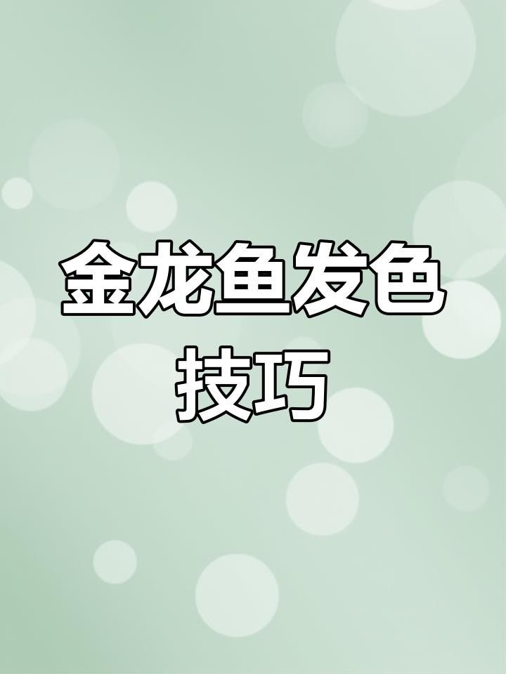 金頭龍魚發色后如何保持？