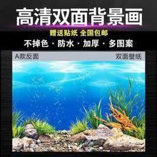 龍魚壁紙定制服務(wù)費用如何？ 龍魚壁紙定制服務(wù)費用如何？ 龍魚百科 第1張