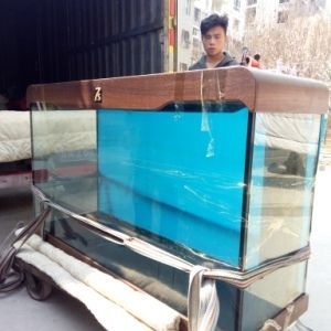 龍魚打包運輸需要準備什么：進行龍魚打包運輸之前需要準備好輔助物品來幫助打包 龍魚打包運輸需要準備什么：進行龍魚打包運輸之前需要準備好輔助物品來幫助打包 龍魚百科 第1張