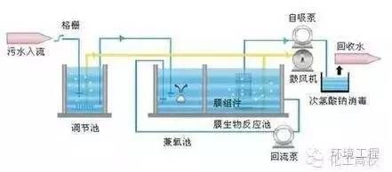 魟魚適宜水溫和調(diào)節(jié)技巧，魟魚適宜的水溫和調(diào)節(jié)技巧