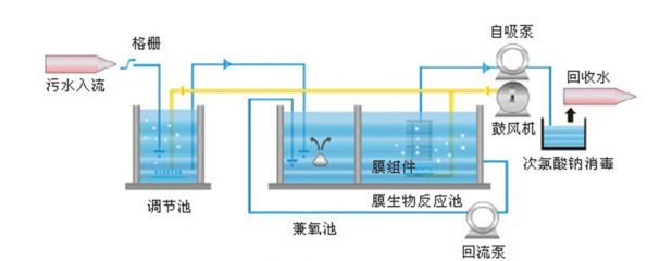 魟魚適宜水溫和調(diào)節(jié)技巧，魟魚適宜的水溫和調(diào)節(jié)技巧