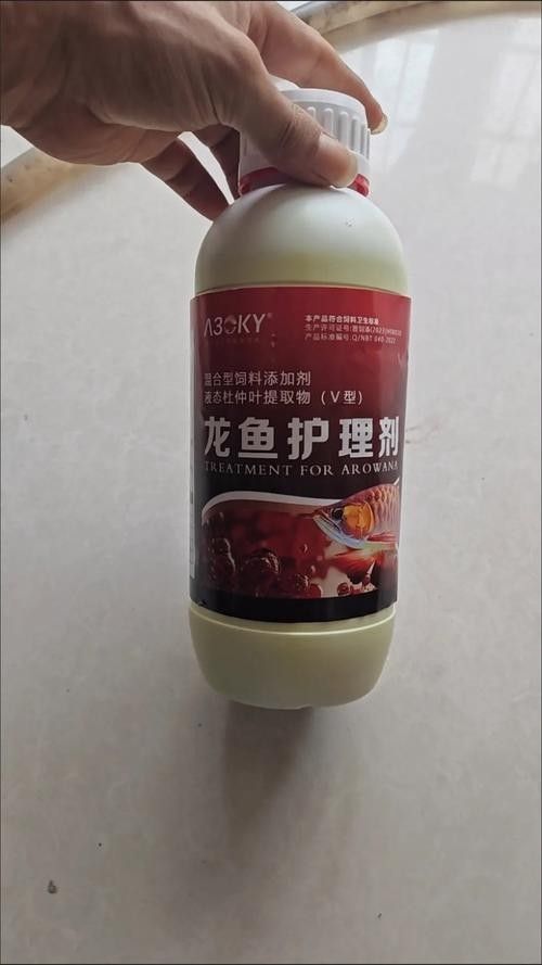 龍魚專用魚藥有哪些推薦品牌？