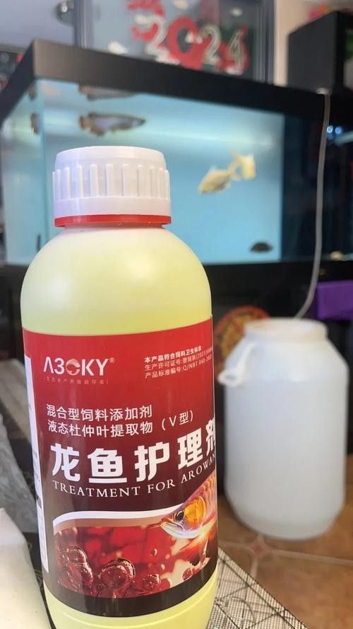 龍魚專用魚藥有哪些推薦品牌？