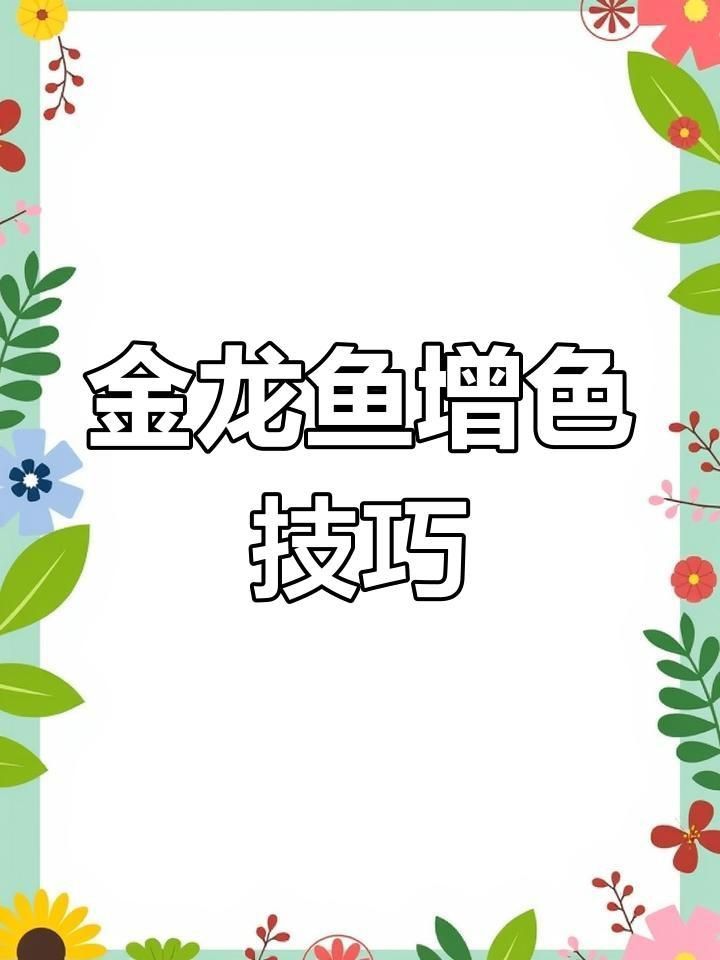 過背金龍魚燈光選擇