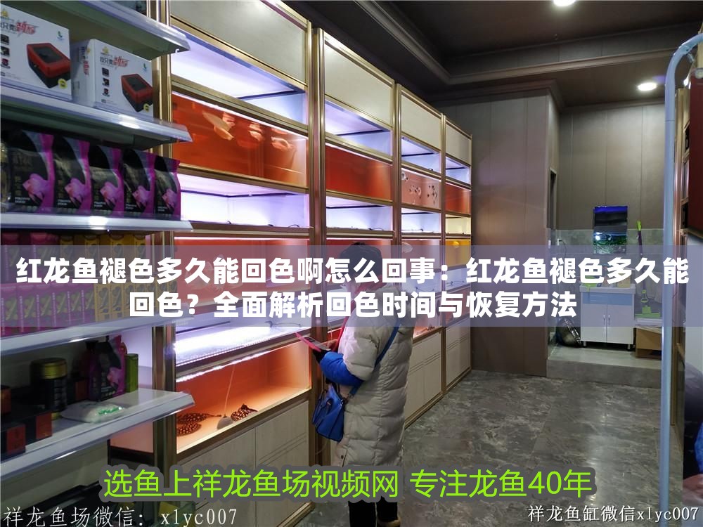 紅龍魚褪色多久能回色啊怎么回事：紅龍魚褪色多久能回色？全面解析回色時間與恢復方法