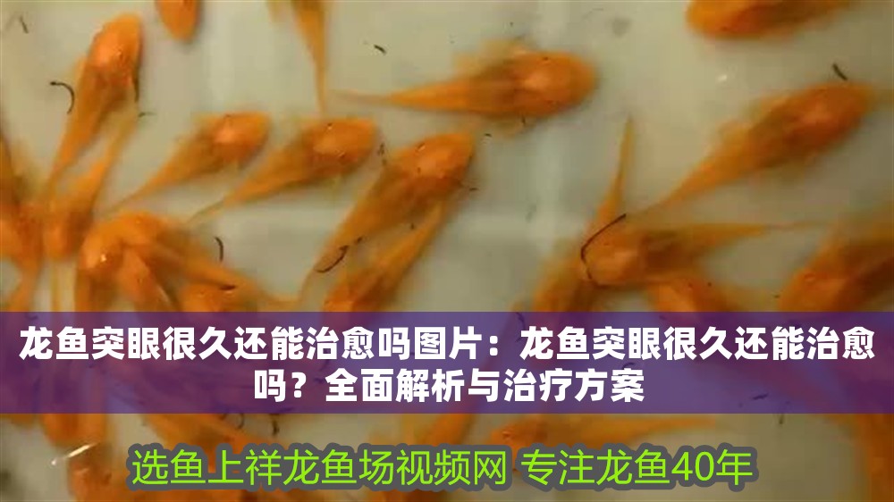 印尼紅龍魚多少錢一條合適的缸子養：印尼紅龍魚價格解析與合適缸子選擇指南