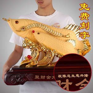 金龍魚陳總：關于金龍魚陳總的信息搜索結果中并未提供具體信息 金龍魚陳總：關于金龍魚陳總的信息搜索結果中并未提供具體信息 龍魚百科 第1張