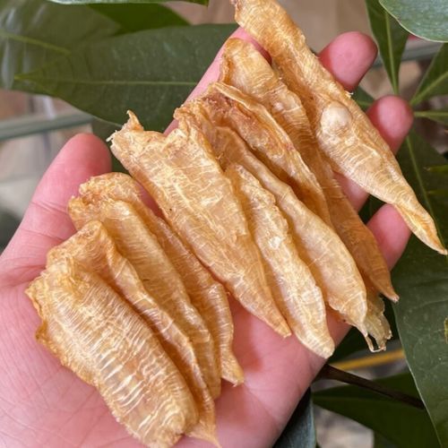 金龍魚膠好還是北海魚膠好吃