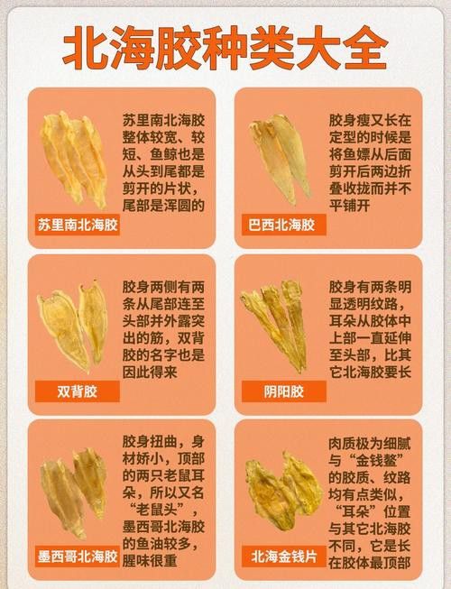 金龍魚膠好還是北海魚膠好吃
