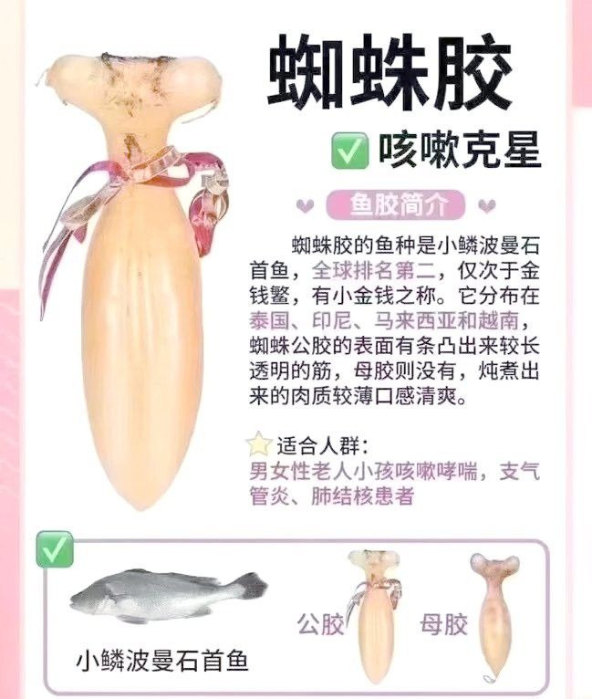 金龍魚膠好還是北海魚膠好吃