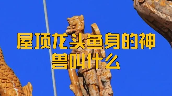 列舉更多具有龍頭魚身特征的神話生物 列舉更多具有龍頭魚身特征的神話生物 龍魚百科