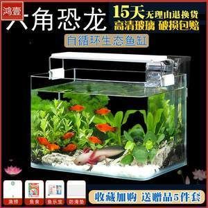 飼養龍魚用多大的缸最好：飼養龍魚用多大的缸最好飼養龍魚用多大的缸最好