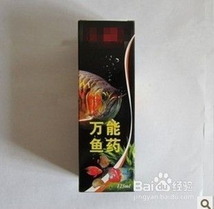 龍魚吃蝦干還是活食好（蝦干與活蝦營養價值對比,龍魚腸炎預防措施）