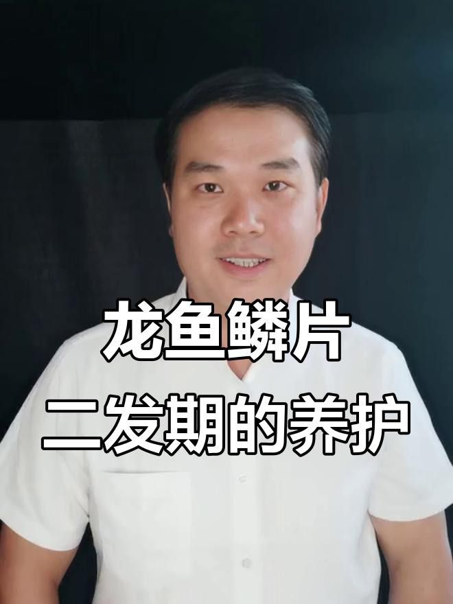 紅龍幼苗的飼養注意事項 紅龍幼苗的飼養注意事項 龍魚百科 第6張