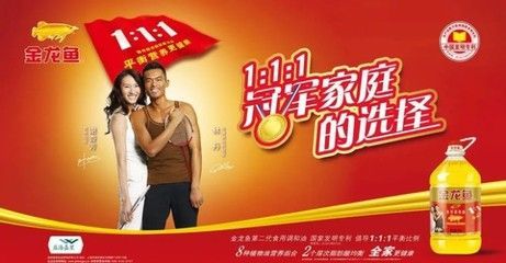 金龍魚代言過的明星（金龍魚代言人形象分析）