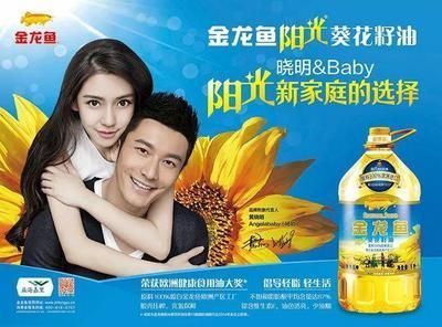 金龍魚代言過的明星（金龍魚代言人形象分析）