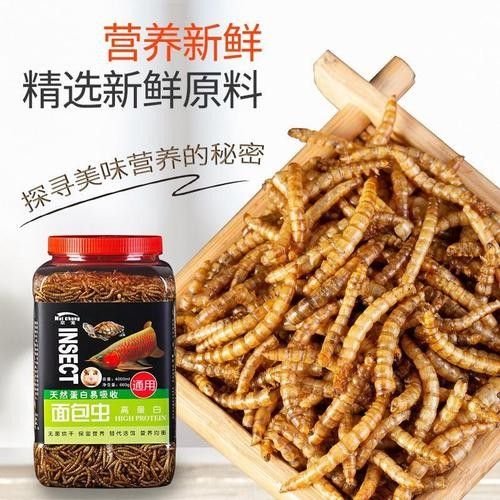龍魚 烏龜糧