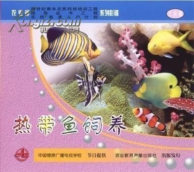 怎樣養好龍魚視頻：養好龍魚的飼養需要注意以下幾點：龍魚的飼養方法 怎樣養好龍魚視頻：養好龍魚的飼養需要注意以下幾點：龍魚的飼養方法 龍魚百科 第2張