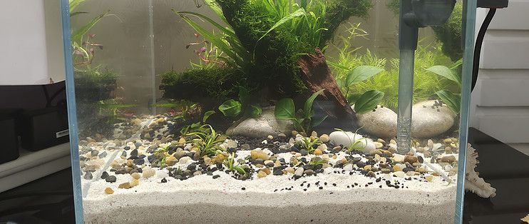 YEE魚缸（yee魚缸與同類產品對比，）