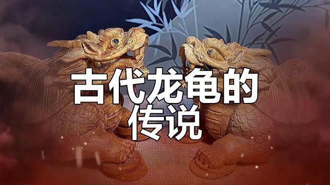龍龜有哪些收藏價(jià)值？ 龍龜有哪些收藏價(jià)值？ 龍魚百科 第3張