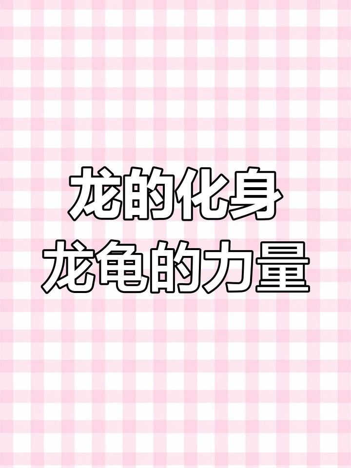 龍龜有哪些收藏價(jià)值？ 龍龜有哪些收藏價(jià)值？ 龍魚百科 第4張