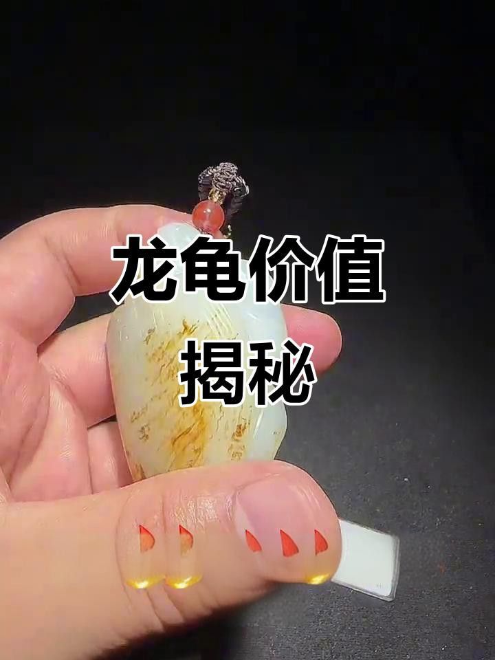 龍龜有哪些收藏價(jià)值？ 龍龜有哪些收藏價(jià)值？ 龍魚百科 第10張