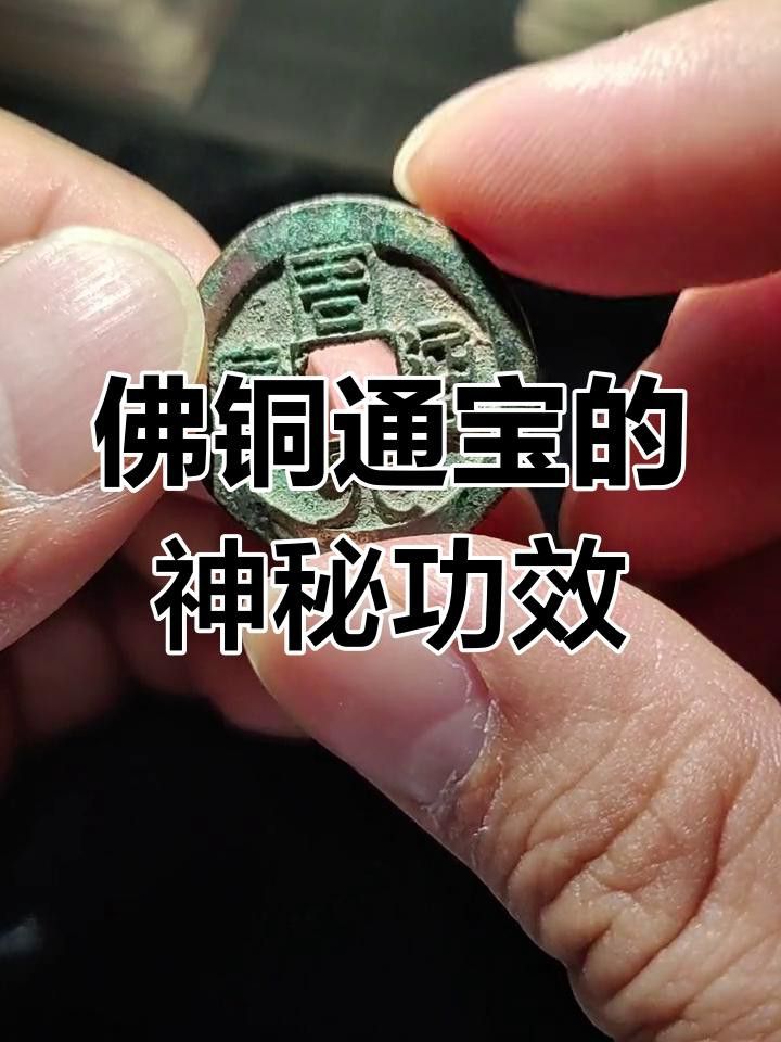 龍龜有哪些收藏價(jià)值？ 龍龜有哪些收藏價(jià)值？ 龍魚百科 第12張