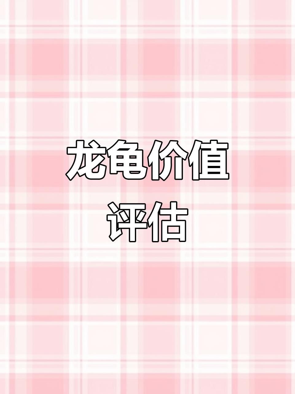 龍龜有哪些收藏價(jià)值？ 龍龜有哪些收藏價(jià)值？ 龍魚百科 第11張