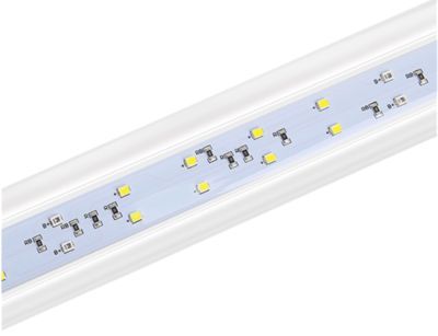 龍魚缸是否需要殺菌燈（養龍魚是否需要使用殺菌燈）