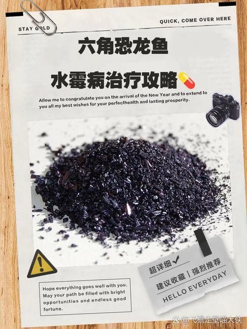 龍魚身上有白色絮狀物用什么藥最好呢圖片