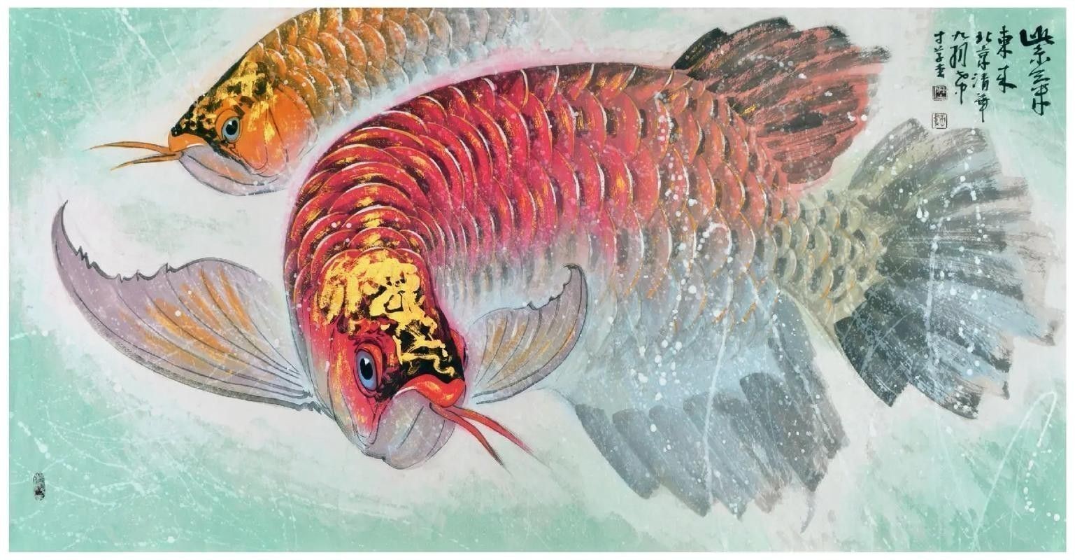 工筆畫金龍魚圖片大全欣賞 龍魚百科 第8張 工筆畫金龍魚圖片大全欣賞 工筆畫金龍魚圖片大全欣賞 龍魚百科 第8張