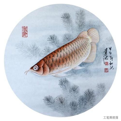 工筆畫金龍魚圖片大全欣賞 龍魚百科 第9張 工筆畫金龍魚圖片大全欣賞 工筆畫金龍魚圖片大全欣賞 龍魚百科 第9張