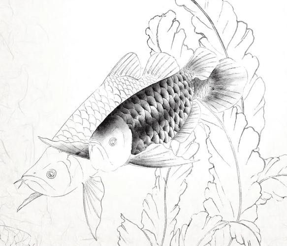 工筆畫金龍魚圖片大全欣賞 龍魚百科 第17張 工筆畫金龍魚圖片大全欣賞 工筆畫金龍魚圖片大全欣賞 龍魚百科 第17張