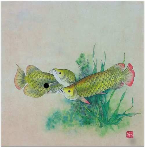 工筆畫金龍魚圖片大全欣賞 龍魚百科 第16張 工筆畫金龍魚圖片大全欣賞 工筆畫金龍魚圖片大全欣賞 龍魚百科 第16張