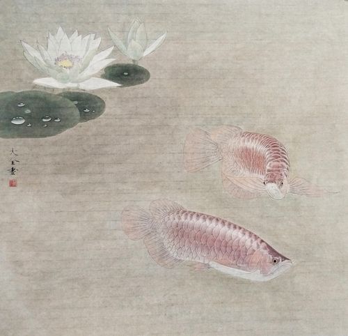 工筆畫金龍魚圖片大全欣賞 工筆畫金龍魚圖片大全欣賞 龍魚百科 第22張