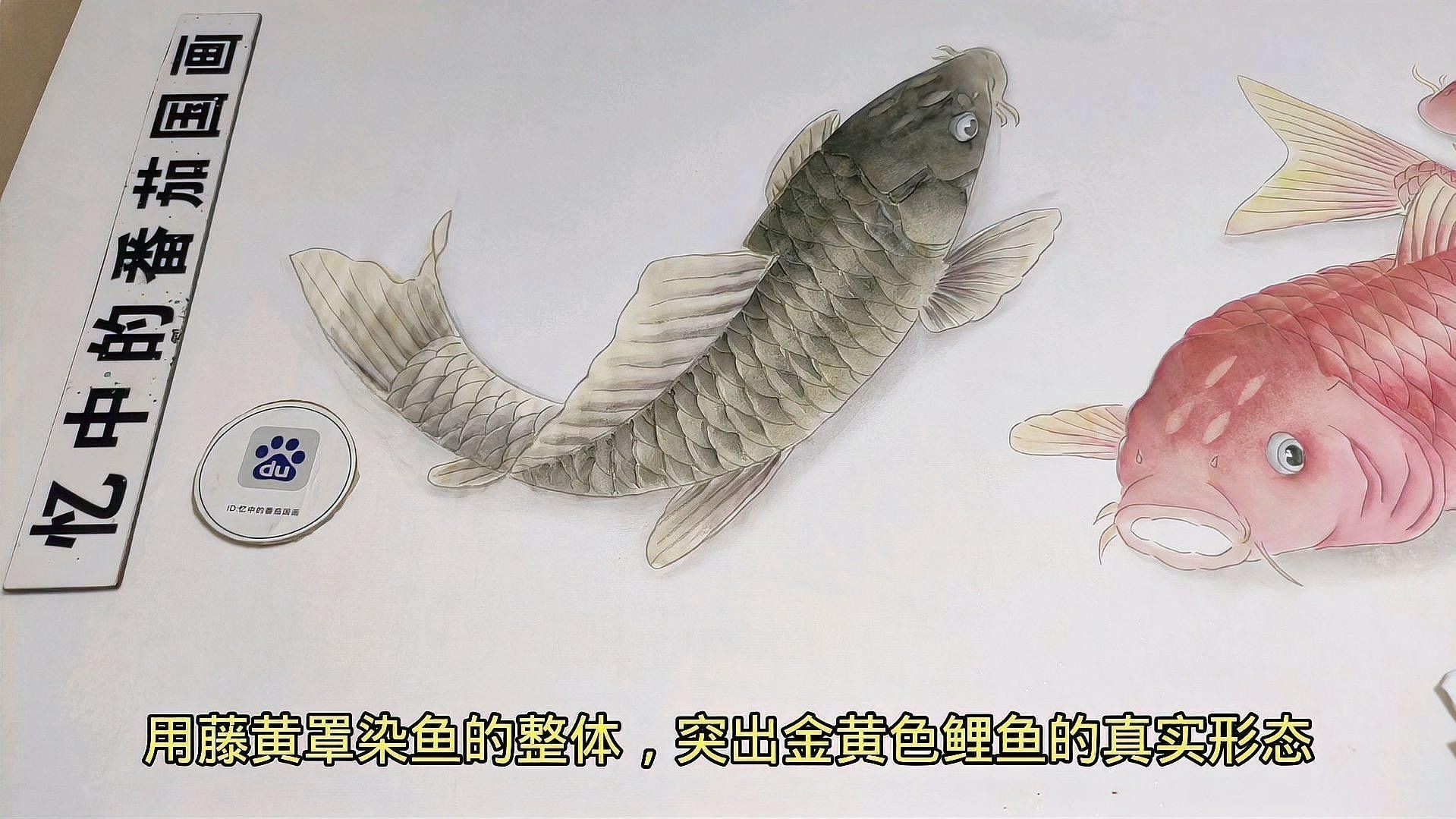 工筆畫金龍魚圖片大全欣賞 工筆畫金龍魚圖片大全欣賞 龍魚百科 第23張
