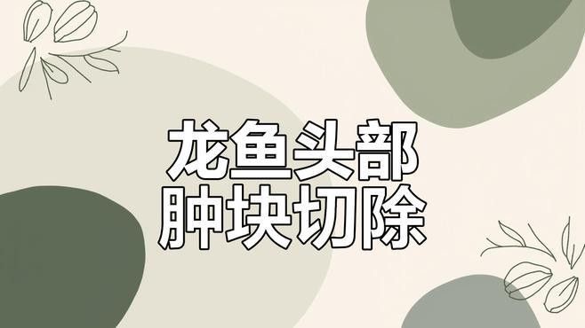 龍魚打架后如何處理傷口