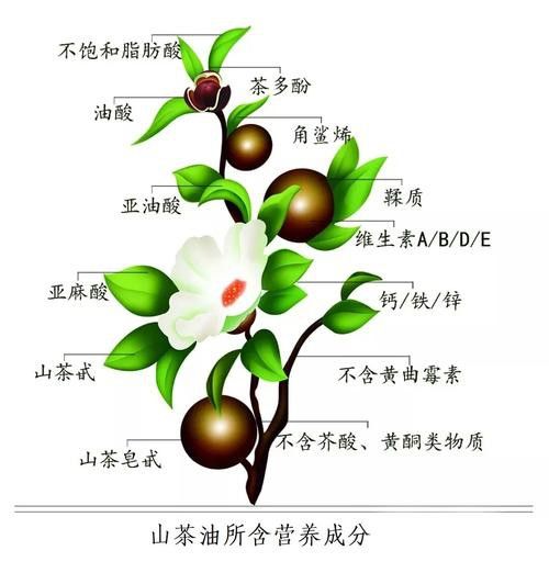 礦物油和白茶油有什么區(qū)別？