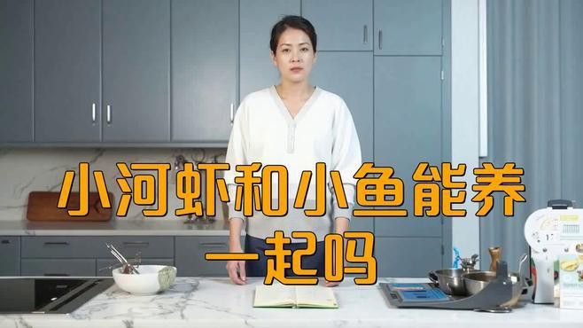 混養(yǎng)時需要注意哪些水質(zhì)參數(shù) 混養(yǎng)時需要注意哪些水質(zhì)參數(shù) 龍魚百科 第5張