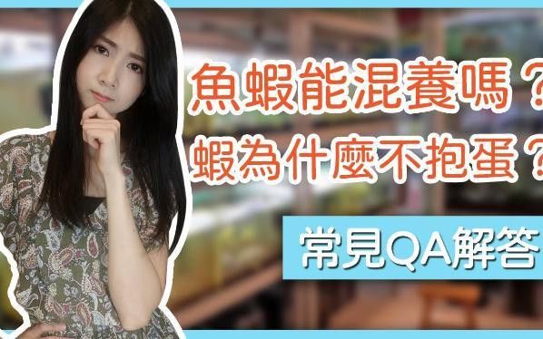 混養(yǎng)時需要注意哪些水質(zhì)參數(shù) 混養(yǎng)時需要注意哪些水質(zhì)參數(shù) 龍魚百科 第3張