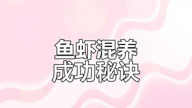 混養(yǎng)時需要注意哪些水質(zhì)參數(shù) 混養(yǎng)時需要注意哪些水質(zhì)參數(shù) 龍魚百科 第6張