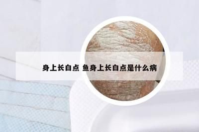 龍魚怎么打包裝視頻：龍魚打包運(yùn)輸全攻略，安全高效的包裝方法