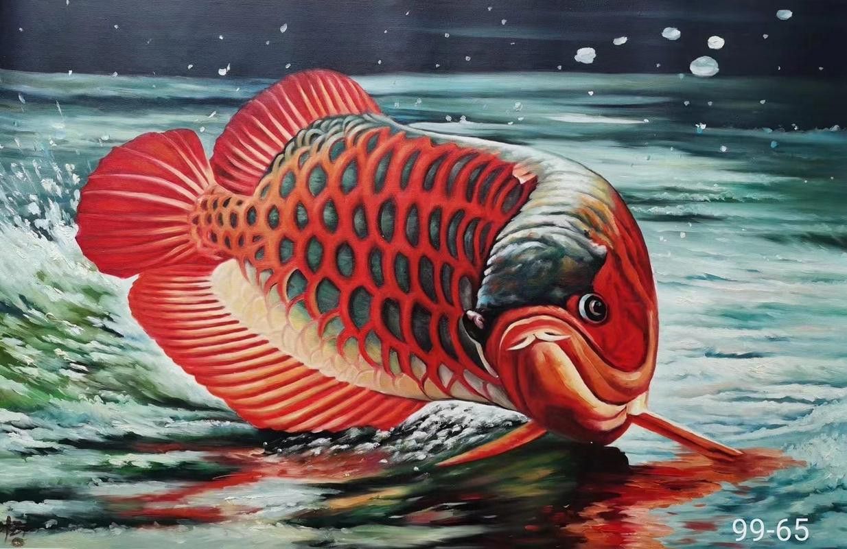 紅金龍魚值多少錢一條圖片 紅金龍魚值多少錢一條圖片 龍魚百科 第3張