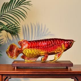 紅金龍魚值多少錢一條圖片 紅金龍魚值多少錢一條圖片 龍魚百科 第17張