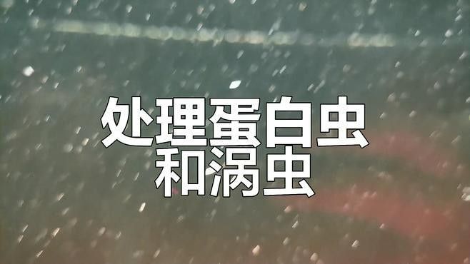 雷龍魚感染寄生蟲后如何治療？