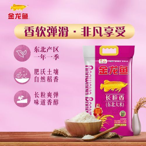 白色金龍魚價格多少錢一條圖片 白色金龍魚價格多少錢一條圖片 龍魚百科 第29張